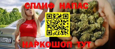 ALPHA PVP Урус-Мартан