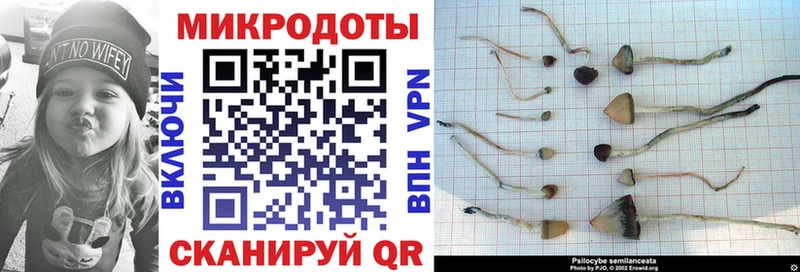 Псилоцибиновые грибы Magic Shrooms  где продают   Выкса 