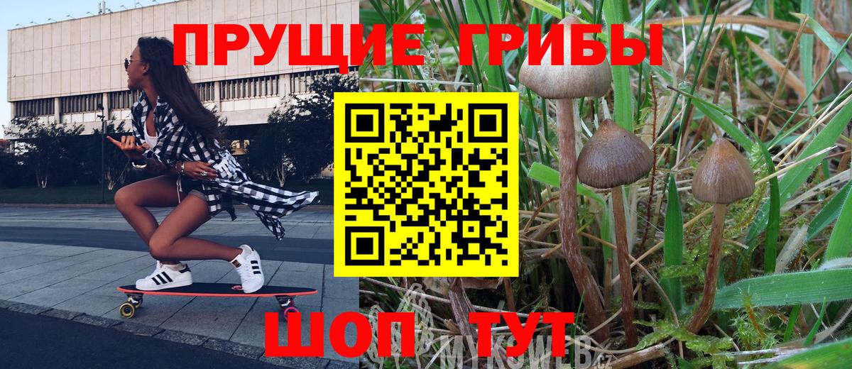 Выкса  Псилоцибиновые грибы Psilocybine cubensis  Вход с VPN  сколько стоит  Псилоцибиновые грибы прущие грибы 
