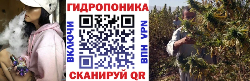 цены наркотик  Выкса  Бошки Шишки сатива 